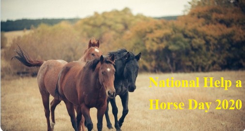 National Help a Horse Day 2020