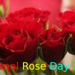 National Rose Day 2021 Quotes, Wishes, Messages, Text, SMS, Greetings, Sayings, Status