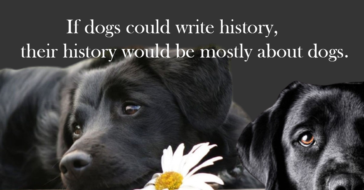 National Black Dog Day Quotes,