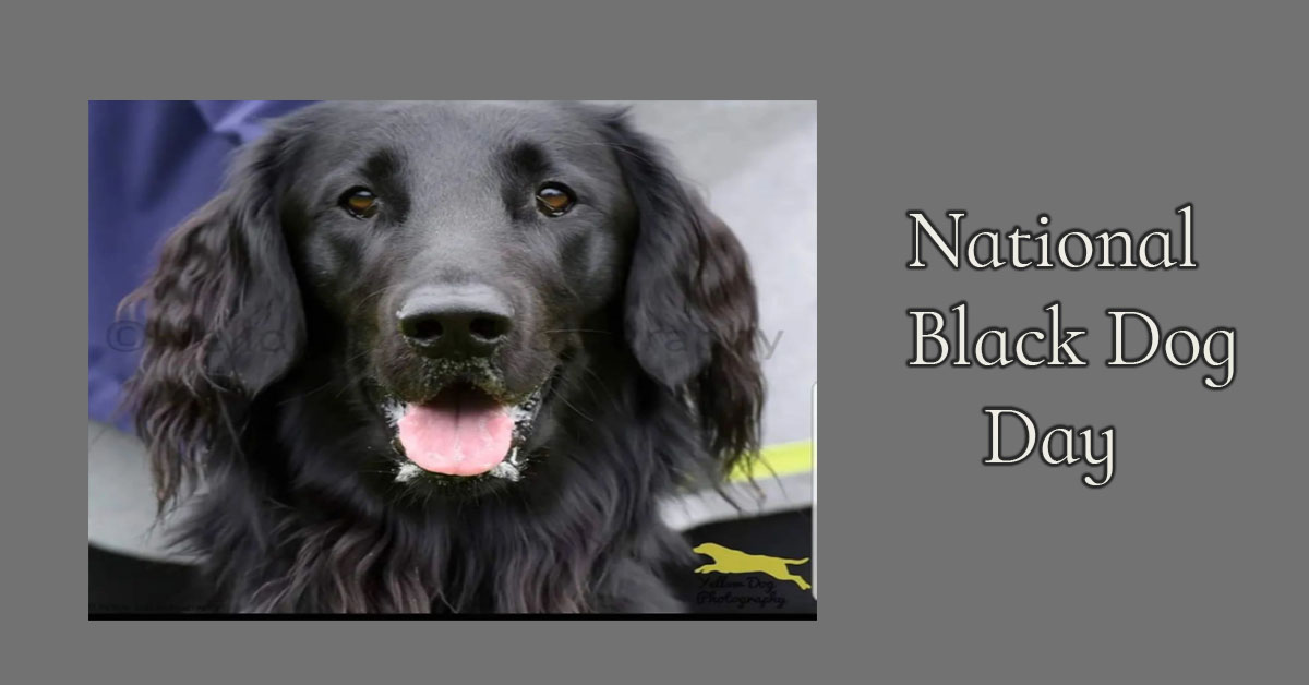 National Black Dog Day 2022 Images, Picture, Photos, Wallpaper