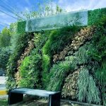 Bio wall Vertical Garden