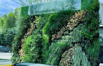 living wall or vertical biowall  Photo -living wall vertical garden Photos Downloads 